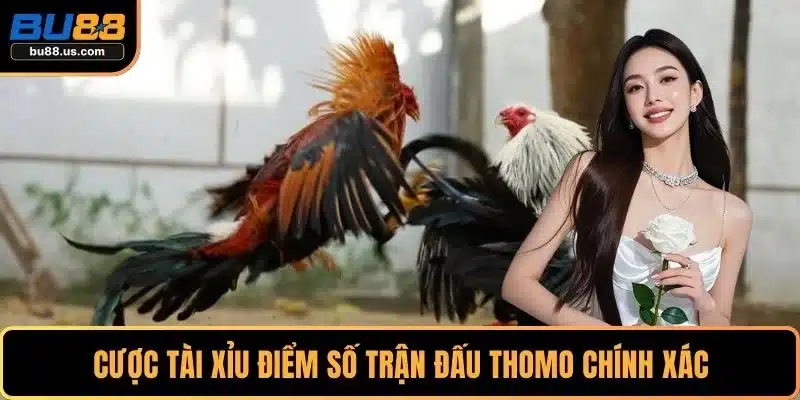 Cược tài xỉu điểm số trận đấu Thomo chính xác