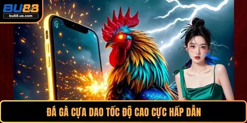 Đá gà cựa dao tốc độ cao cực hấp dẫn