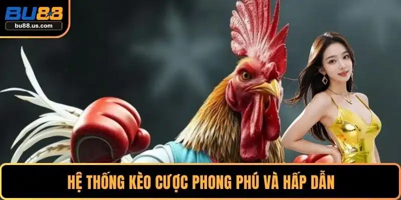Hệ thống kèo cược phong phú và hấp dẫn