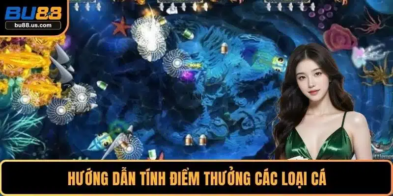 Hướng dẫn tính điểm thưởng các loại cá