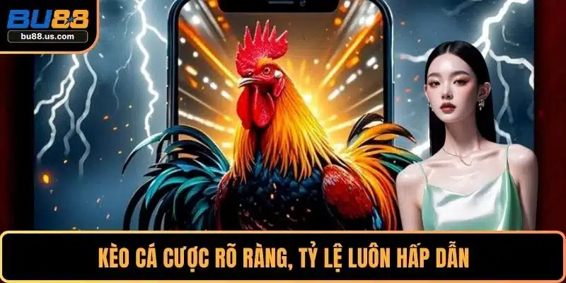 Kèo cá cược rõ ràng, tỷ lệ luôn hấp dẫn