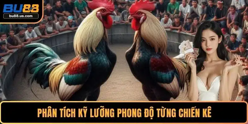 Phân tích kỹ lưỡng phong độ từng chiến kê