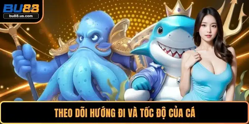 Theo dõi hướng đi và tốc độ của cá