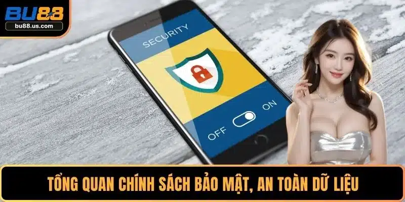 Tổng quan chính sách bảo mật, an toàn dữ liệu