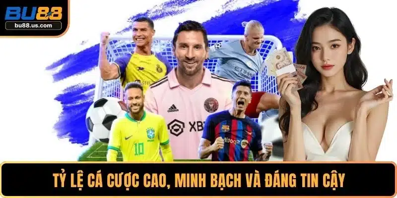 Tỷ lệ cá cược cao, minh bạch và đáng tin cậy